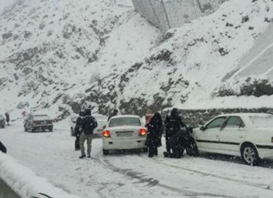تصاویری از برف سنگین در جاده چالوس محور کندوان