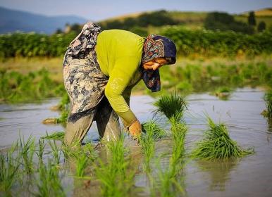 تصویب اعطای تسهیلات اشتغال‌ روستایی به 4 طرح گردشگری گیلان +عکس