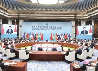 مکانیسم شانگهای در برابر مکانیسم ماشه