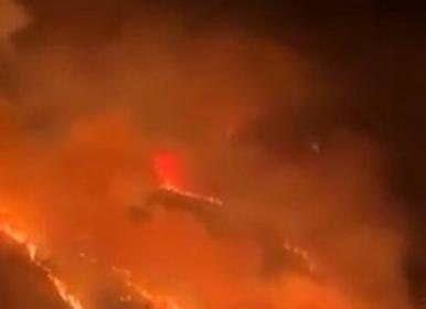 جنگل‌های غرب عربستان در محاصره آتش + فیلم