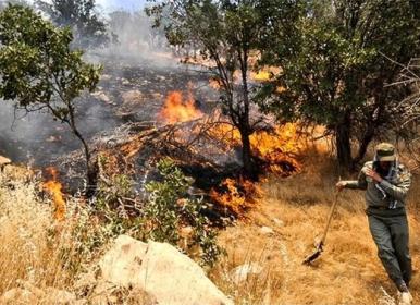 شعله‌ور شدن دوباره آتش سوزی در جنگل‌های ایلام