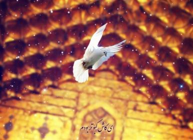 نماهنگ \