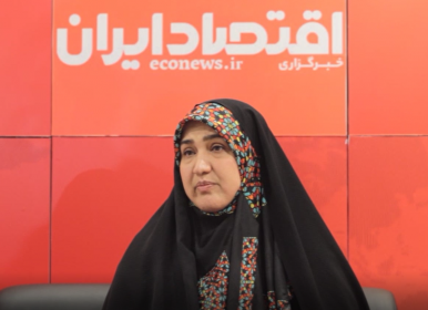 بودجه سازمان محیط زیست به هیچ وجه کافی نیست