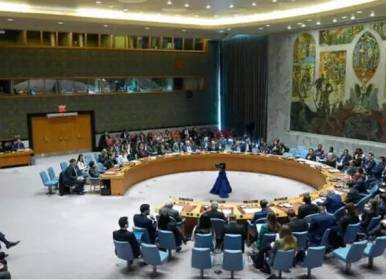 سخنرانی مسیح علی‌نژاد در شورای امنیت علیه ایران!