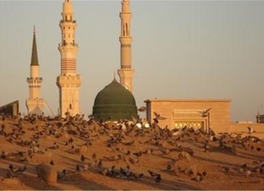 حال و هوای بقیع در ایام حج تمتع + فیلم