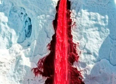 راز آبشار خون در جنوبگان، چرا یخ خون می‌ریزد؟