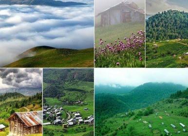 گل سوسن چلچراغ و زیبایی روستای گردشگری داماش+فیلم