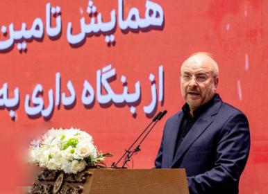 بانک‌ها موظف به واگذاری دارایی ها شدند+فیلم