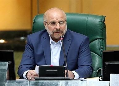 تاکید رئیس مجلس به پیگیری جدی موضوع مهسا امینی