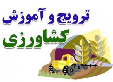 رتبه اول اصفهان در آموزش مهارت گلخانه ای در کشور