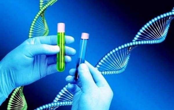 پیش‌بینی خطر ابتلا به سرطان سینه با آزمایش ژن