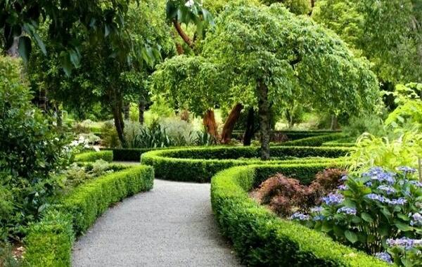 حضور درفضاهای سبز باعث رشد بهتر مغز کودکان می‌شود