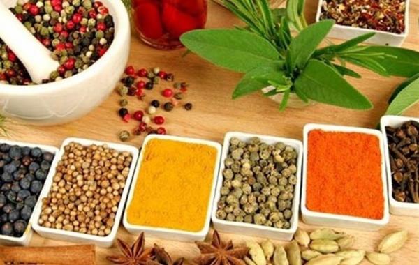 ارتقای سلامت جامعه با آموزه‌های طب سنتی