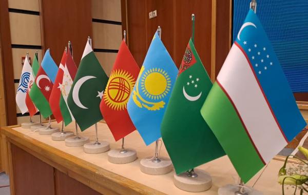 سازمان اکو تجاوز رژیم صهیونیستی را محکوم کرد