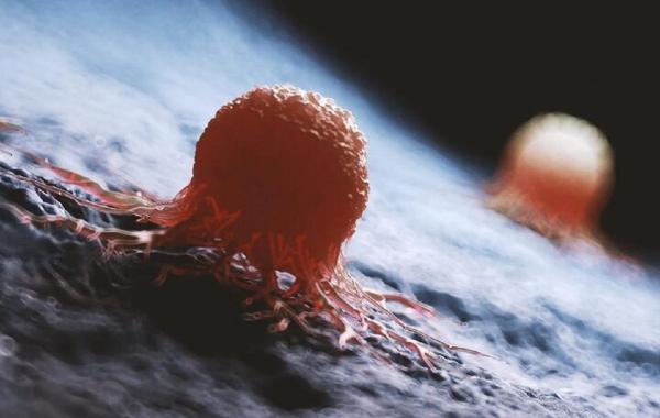 هوش مصنوعی راز ۱۰۰ ساله را کشف کرد