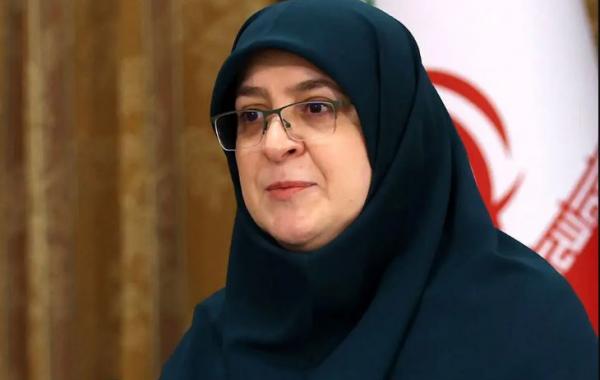 دولت مصمم به بازگشت اتباع غیرمجاز است