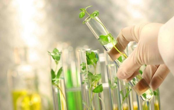 امنیت غذایی پایدار با حفظ تنوع زیستی و منابع ژنتیکی