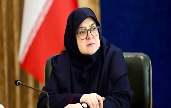 واکنش سخنگوی دولت به خبر استیضاح وزیر راه 
