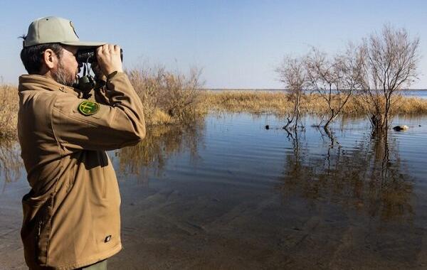 اکران طرح «روز محیط‌بان» در پایتخت + تصویر