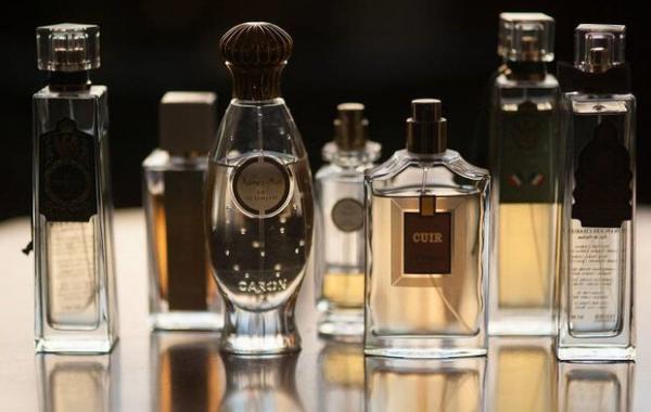 تقویت حافظه با عطر اسانس های گیاهی!