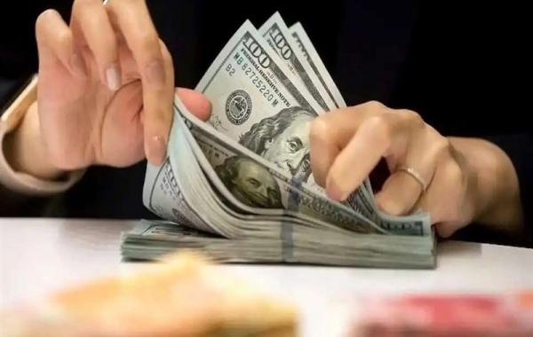 ورود سنگین بانک مرکزی به بازار تهران و امارات 