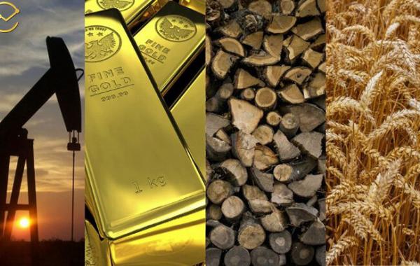 ارزش معاملات بورس کالا از ۹.۷ همت عبور کرد