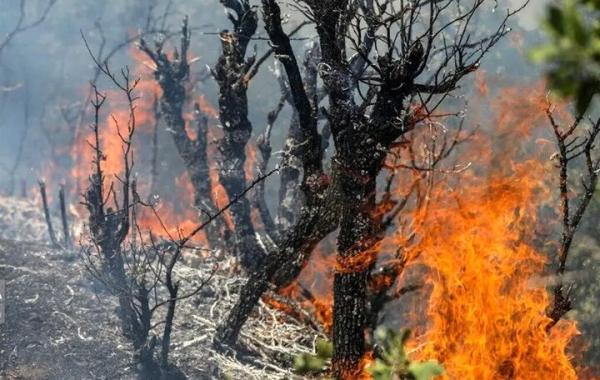 ترکیه دو هواپیما و یک بالگرد اطفای حریق اعزام کرد