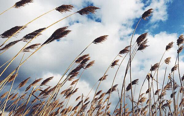 پیش بینی افزایش ابر و وزش باد در آذربایجان غربی