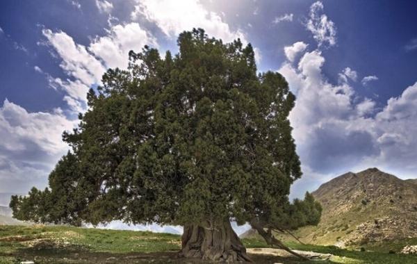 پنج اثر طبیعی کرمان در فهرست آثار ملی ثبت شد