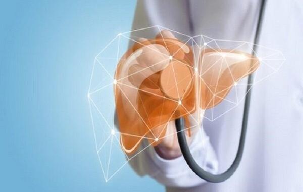 ارگانوئید جدید زخم کبدی را شبیه سازی می کند