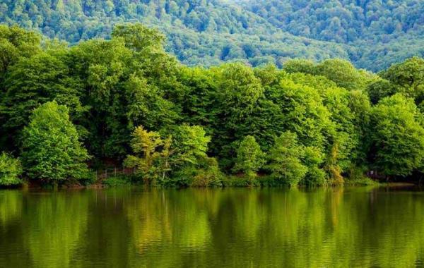 شناسایی منبع پنهان آب در جنگل‌های شمال 