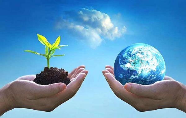  راهکارهای کلیدی برای نجات زمین و محیط زیست