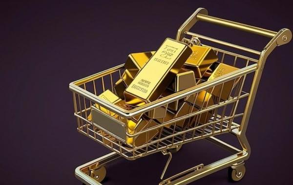  صندوق‌های طلا در بورس صرف توسعه معادن طلا میشود