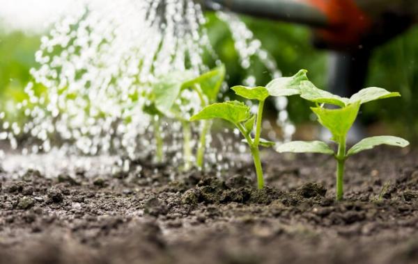 عوامل کلیدی تشدیدکننده بحران کمبود آب