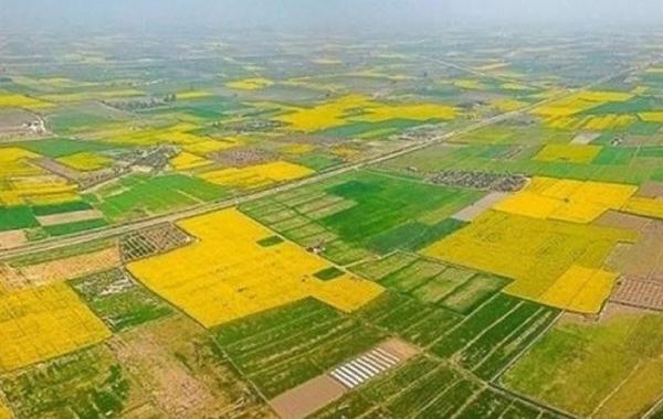 تجمیع ۱۵.۷ هزار هکتار از اراضی کشاورزی کشور 