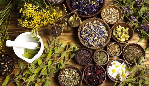 مصرف خودسرانه فرآورده‌های گیاهی خطرناک است 