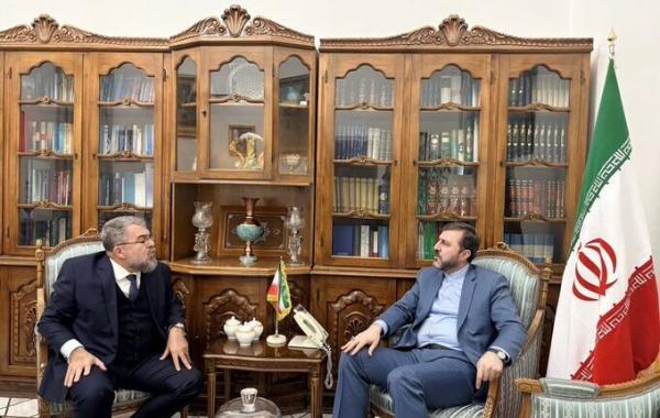 ضرورت توسعه و گسترش روابط ایران و برزیل 