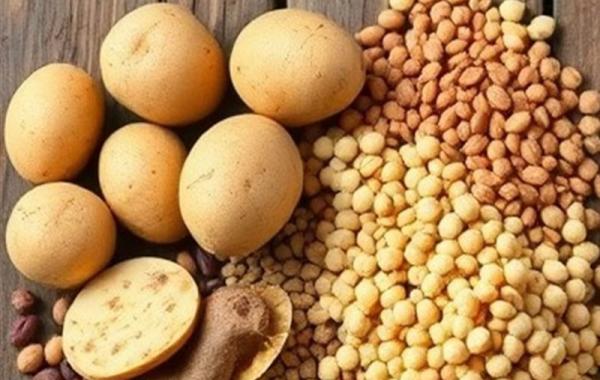 ابلاغ ممنوعیت صادرات حبوبات به گمرکات کشور