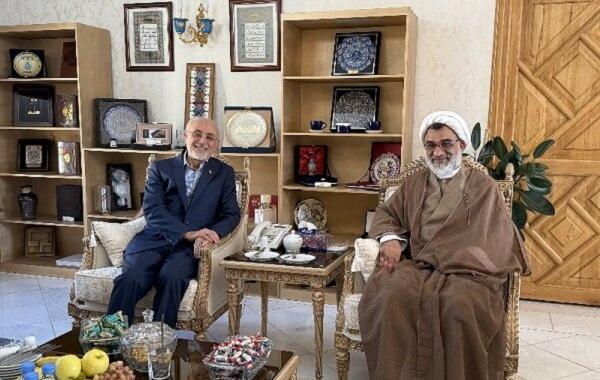 دیدار دکتر صالحی با دبیر شورای عالی انقلاب فرهنگی 