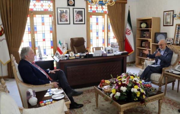 دیدار رئیس بنیاد ایرانشناسی با گزارشگر سازمان ملل