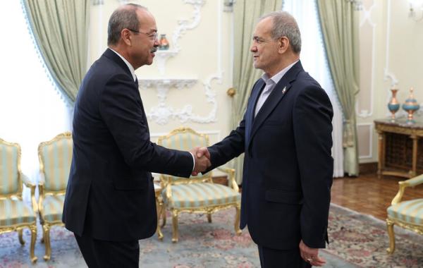 دیدار نخست وزیر ازبکستان با رئیس‌جمهور