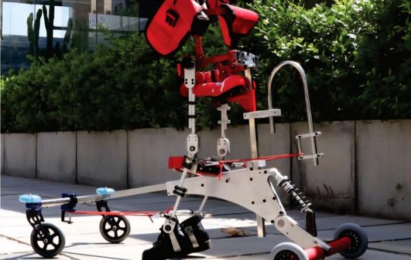 استقبال کشورهای منطقه از واکر ایرانی