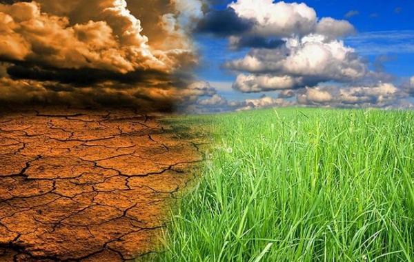 پایداری ایرانی؛ ضرورتی فوری برای نجات آینده