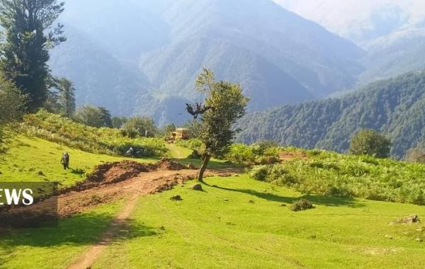 کشف جاده غیرمجاز ۸ کیلومتری در جنگل‌های گیلان