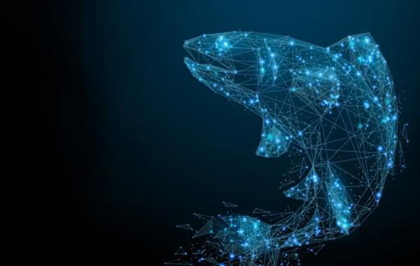 هوش مصنوعی به کمک ماهی‌های سالمون آمد