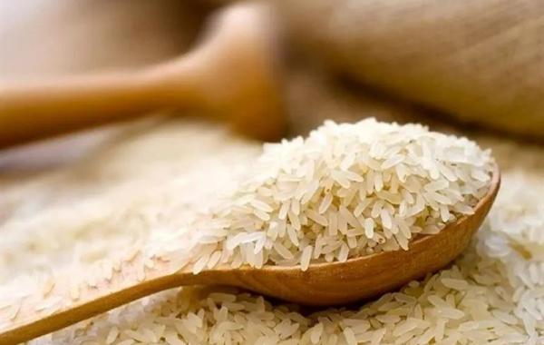 قیمت بهترین نوع برنج ایرانی ۲۶۰ هزار تومان شد