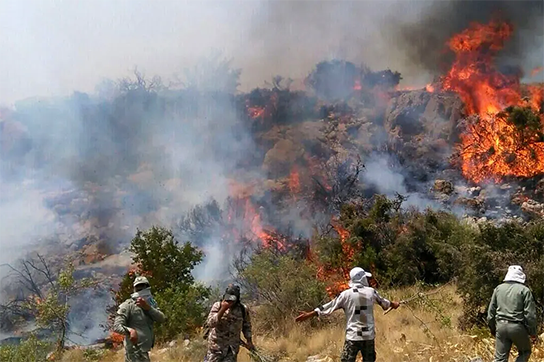 ردپای انسان در آتش‌سوزی جنگل‌های چالوس؟