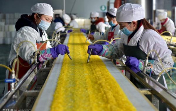 ادراک اندیشه چینی در مفهوم خودکفایی غلات