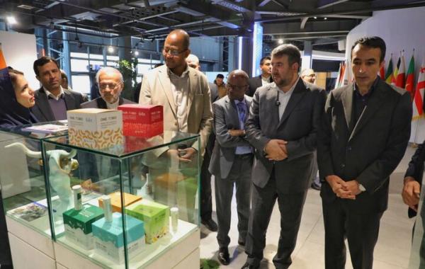 «آفریقا» شریک راهبردی ایران در زیست‌بوم فناوری