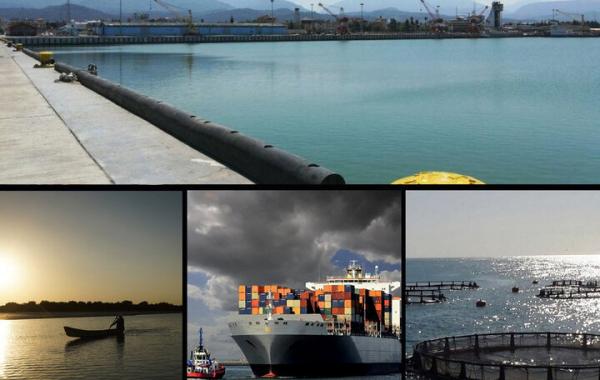 زیست‌فناوری آبی؛ کلید توسعه اقتصاد دریامحور